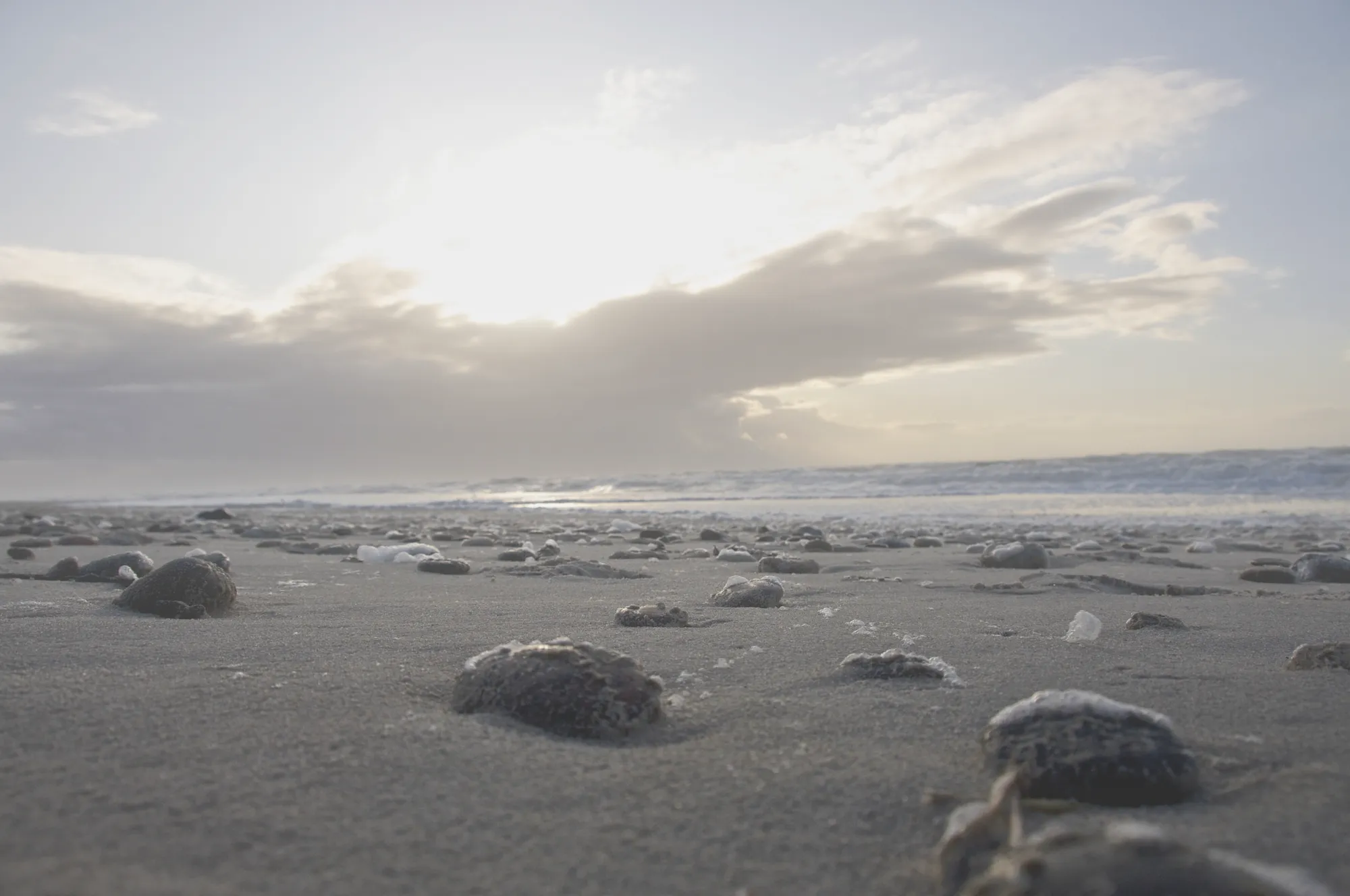 Diesiger Himmel über einem steinigen Strand